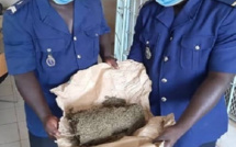 Podor : Un réseau de trafiquants de drogue démantelé par la gendarmerie de Ndioum