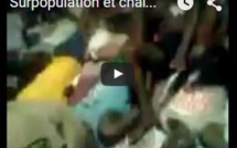 Surpopulation à Rebeuss : Regardez comment les prisonniers sont entassés dans les cellules 
