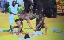 Combat Royal Modou Lo vs Siteu - Intégralité - 24 Novembre 2024