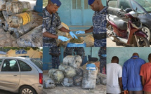 Thiaroye : 4 dealers arrêtés par la gendarmerie avec 480 kg de drogue