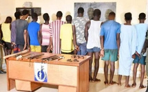 Démantèlement d'un gang à Kaffrine : 11 voleurs de bétail arrêtés par la gendarmerie
