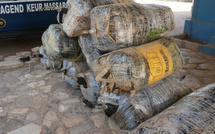 Saisie de 260 kg de drogue : La BR de Keur Massar arrête 2 dealers