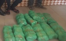 Saisie de drogue à Touba : Un individu interpellé avec 12 kg de chanvre indien.