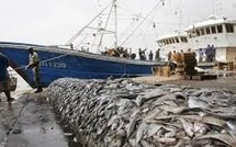 Secteur de la pêche : Le Sénégal pose ses conditions à l’UE
