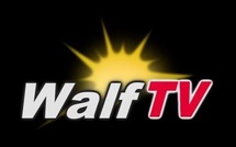 Walf TV : Un invité de l’émission « Réveil Matinal » s’évanouit en plein direct