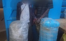 Baba garage: Arrestation de deux trafiquants de chanvre indien