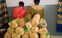 Sédhiou : 15 kg de “YAMBA” saisis, deux individus tombent dans les filets de la police