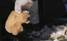 Découverte d’ossements à Rufisque : des restes humains confirmés, l’IFAN sollicité