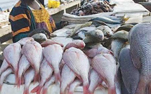 Le non-renouvellement d’un accord de pêche entre le Sénégal et l’UE commence à porter ses fruits...