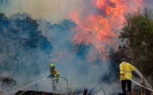 Les incendies sous contrôle en Israël, les routes rouvertes