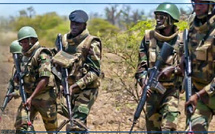 Djibidione : accrochage entre des militaires en patrouille et une bande armée