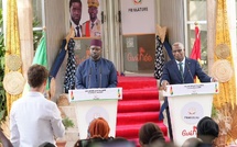 Dakar et Conakry veulent une jonction entre le gaz sénégalais et la bauxite guinéenne