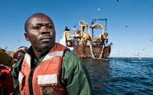 Révision du code de la pêche maritime:Les acteurs valident le texte