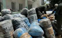 Saisie record de 4.000 tonnes de chanvre indien