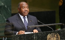 Gabon : guerre de succession au Parti démocratique d'Ali Bongo