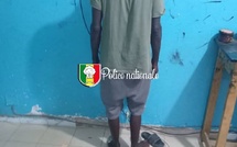 Trafic de drogue à Thiès- Un quidam tombe avec dix (10) cornets et deux (2) kilogrammes cinq cents (500) grammes de chanvre indien