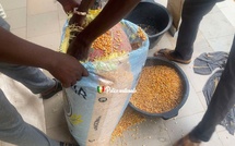 18 kilogrammes de chanvre indien dissimulés dans des sacs de maïs saisis 
