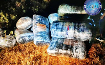 580 kg de drogue saisis à Fimela : Un trafiquant arrêté par la BR de Faidherbe