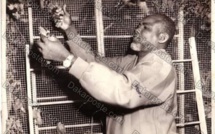 Voici le milliardaire  El hadji Diallo Pithi