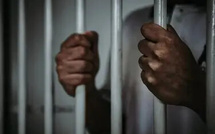 Yeumbeul : Sorti de prison le matin, il récidive et retourne en cellule l’après-midi
