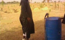 Après l'Imam Ndao, le  doyen des juges poursuit les auditions dans le fond...Les avocats de l'imam compte déposer une demande de LP...Révélations sur la mobilisation... Après l'Imam Ndao, le  doyen des juges poursuit les auditions dans le fond...Les avocats de l'imam compte déposer une demande de LP...Révélations sur la mobilisation...