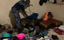 Tivaouane-Peulh : Un repaire de malfaiteurs à la cité Socabeg démantelé