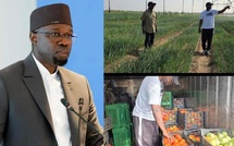 "J’ai passé une excellente journée dans..." : La sortie de Ousmane Sonko après les propos de Diomaye Faye