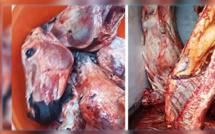 Alerte : 35 tonnes de viande d'âne en circulation Alerte : 35 tonnes de viande d'âne en circulation