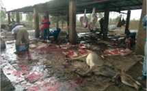 ABATTAGE CLANDESTIN D’ANES/          Des ramifications insoupçonnées ABATTAGE CLANDESTIN D’ANES/          Des ramifications insoupçonnées