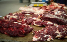 Après les « brochettes » de chat, le « dibi » de chien à Hamo Tefess : Dakar, nouveau terrain de chasse des amateurs de viandes douteuses