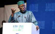 CENTENAIRE DE SERIGNE CHEIKH AHMED TIDIANE SY AL MAKTOUM : MALICK NDIAYE MAGNIFIE UNE FIGURE TOTALE AU SERVICE DE LA FOI, DU SAVOIR ET DE LA NATION
