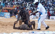 Canal+ dans l’arène, la presse sénégalaise dans les gradins