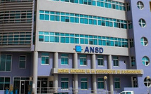 Entrepreneuriat au Sénégal : près de 95 000 nouvelles immatriculations au NINEA en 2025