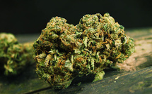 Deux Sierra-Léonais arrêtés à Karang avec de la drogue « shunk » et des boissons alcoolisées