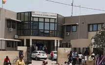 Effondrement d’un mur au Technopole : des serpents s’invitent au tribunal