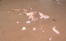 Qui protège la société  de nettoiement du tribunal de Dakar? Qui protège la société  de nettoiement du tribunal de Dakar?