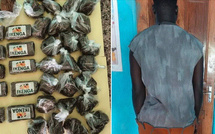TRAFIC DE DROGUE : UN PASSAGER ARRÊTÉ AVEC 17,5 MILLIONS FCFA DE HASCHICH À KARANG