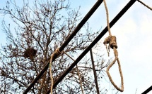 Bayakh : un homme retrouvé mort pendu à un arbre