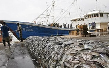 Pêche : plus de 100 licences délivrées en 2026