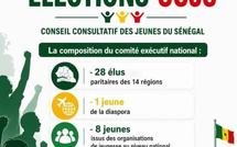 Assemblée générale du CCJS : Quand le gouvernement botte en touche le choix de la diaspora