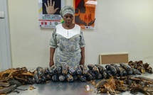 Une grand-mère arrêtée avec 13 kg de cocaïne dissimulés dans des pelures de plantain