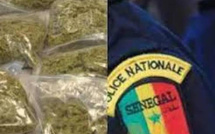 Détention de drogue : Le fils d'un nouveau ministre arrêté par la police de Sicap-Mbao