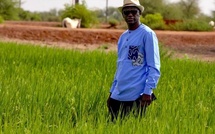 PODOR : Renforcement de la mise en valeur Amélioration des rendements agricoles Le binôme mobilisateur, au cœur de la tournée du Dg de la SAED