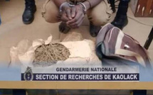 Démantèlement d'un trafic de drogue à Kaolack :  un gendarme et son père appréhendés par la Section de Recherches