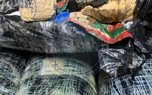 Près de 305 kgs de chanvre indien saisis-Un réseau transnational de trafic de drogue démantelé à Thiaroye par la BR de Keur Massar
