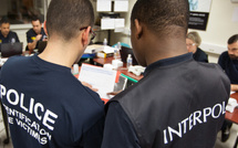 Suite et pas fin du Trafic international de véhicules volés : Interpol démantèle un réseau criminel transcontinental entre l'Europe, la Gambie et Niagues, menant à  l’arrestation d’« Alex », propriétaire du restaurant Amour Café, ex-Pentola…