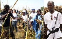 L'ambition agropastorale du Sénégal à l'aune de la Vision 2050 : Le savoir-faire de Cheikh Amar au service de l'indépendance mécanique nationale