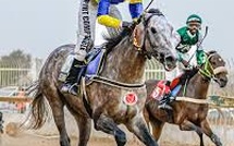 Grand Prix du Chef de l’État 2026 : Kikanela et l’écurie Lambafar au firmament, l’heure est venue d’offrir au cheval sénégalais un hippodrome à la hauteur de son histoire