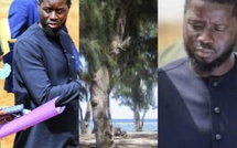 Déguerpissement à Guédiawaye : 3000 travailleurs des filaos (maraîchers, éleveurs et artisans ) lancent un appel pressant au président  Diomaye Faye