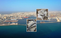 Port de Dakar : 10 kg de haschisch « Skunk » d’une valeur de 120 millions FCFA dissimulés dans des pneus, les Douanes frappent fort